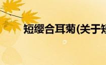 短缨合耳菊(关于短缨合耳菊的简介)