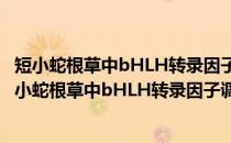 短小蛇根草中bHLH转录因子调控喜树碱合成的机制(关于短小蛇根草中bHLH转录因子调控喜树碱合成的机制的简介)