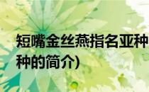短嘴金丝燕指名亚种(关于短嘴金丝燕指名亚种的简介)