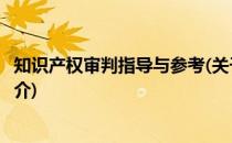 知识产权审判指导与参考(关于知识产权审判指导与参考的简介)