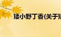 矮小野丁香(关于矮小野丁香的简介)