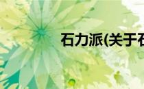石力派(关于石力派的简介)