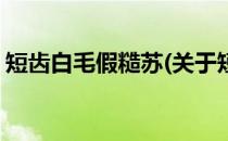 短齿白毛假糙苏(关于短齿白毛假糙苏的简介)