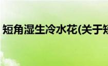 短角湿生冷水花(关于短角湿生冷水花的简介)