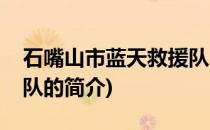 石嘴山市蓝天救援队(关于石嘴山市蓝天救援队的简介)