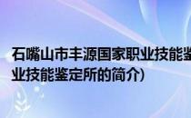 石嘴山市丰源国家职业技能鉴定所(关于石嘴山市丰源国家职业技能鉴定所的简介)