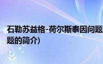 石勒苏益格-荷尔斯泰因问题(关于石勒苏益格-荷尔斯泰因问题的简介)