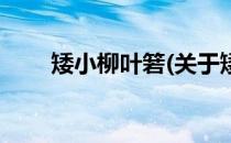 矮小柳叶箬(关于矮小柳叶箬的简介)