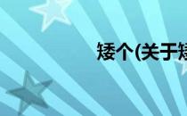 矮个(关于矮个的简介)