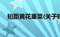 短距黄花堇菜(关于短距黄花堇菜的简介)