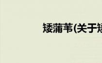 矮蒲苇(关于矮蒲苇的简介)