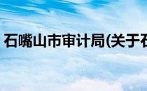 石嘴山市审计局(关于石嘴山市审计局的简介)
