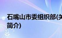 石嘴山市委组织部(关于石嘴山市委组织部的简介)