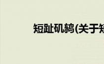 短趾矶鸫(关于短趾矶鸫的简介)