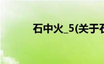 石中火_5(关于石中火_5的简介)