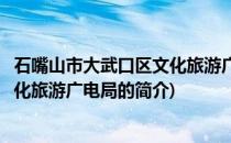 石嘴山市大武口区文化旅游广电局(关于石嘴山市大武口区文化旅游广电局的简介)