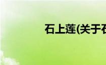 石上莲(关于石上莲的简介)