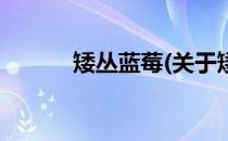 矮丛蓝莓(关于矮丛蓝莓的简介)