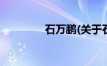 石万鹏(关于石万鹏的简介)
