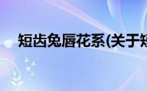 短齿兔唇花系(关于短齿兔唇花系的简介)
