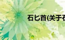 石匕首(关于石匕首的简介)