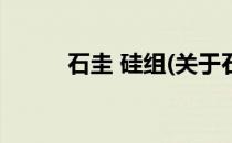石圭 硅组(关于石圭 硅组的简介)