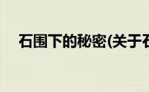 石围下的秘密(关于石围下的秘密的简介)