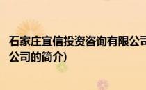 石家庄宜信投资咨询有限公司(关于石家庄宜信投资咨询有限公司的简介)