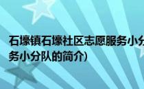 石壕镇石壕社区志愿服务小分队(关于石壕镇石壕社区志愿服务小分队的简介)