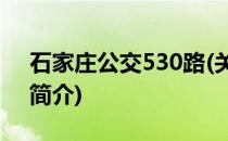 石家庄公交530路(关于石家庄公交530路的简介)