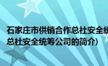 石家庄市供销合作总社安全统筹公司(关于石家庄市供销合作总社安全统筹公司的简介)