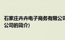石家庄卉卉电子商务有限公司(关于石家庄卉卉电子商务有限公司的简介)