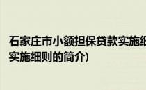 石家庄市小额担保贷款实施细则(关于石家庄市小额担保贷款实施细则的简介)