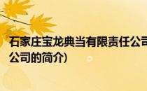 石家庄宝龙典当有限责任公司(关于石家庄宝龙典当有限责任公司的简介)