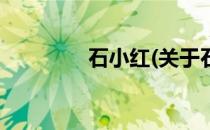 石小红(关于石小红的简介)