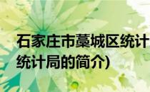 石家庄市藁城区统计局(关于石家庄市藁城区统计局的简介)