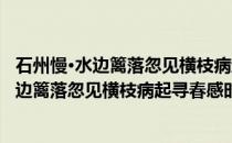 石州慢·水边篱落忽见横枝病起寻春感时凄异(关于石州慢·水边篱落忽见横枝病起寻春感时凄异的简介)