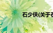 石少侠(关于石少侠的简介)