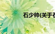 石少帅(关于石少帅的简介)