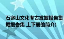 石寨山文化考古发掘报告集 上下册(关于石寨山文化考古发掘报告集 上下册的简介)