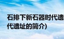 石排下新石器时代遗址(关于石排下新石器时代遗址的简介)