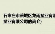 石家庄市藁城区龙雨塑业有限公司(关于石家庄市藁城区龙雨塑业有限公司的简介)