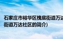石家庄市裕华区槐底街道万达社区(关于石家庄市裕华区槐底街道万达社区的简介)