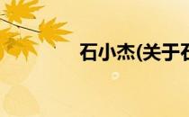 石小杰(关于石小杰的简介)
