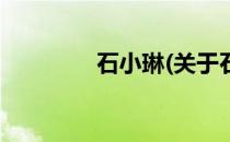 石小琳(关于石小琳的简介)