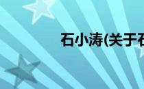 石小涛(关于石小涛的简介)