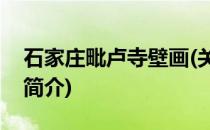石家庄毗卢寺壁画(关于石家庄毗卢寺壁画的简介)