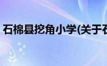 石棉县挖角小学(关于石棉县挖角小学的简介)
