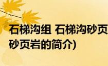 石梯沟组 石梯沟砂页岩(关于石梯沟组 石梯沟砂页岩的简介)