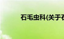 石毛虫科(关于石毛虫科的简介)
